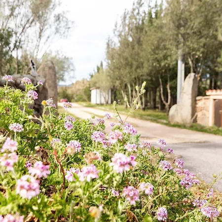 Casa Ridente * 阿尔扎凯纳